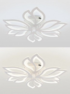 Потолочная люстра Natali Kovaltseva FORTUNA LED LAMPS 81107/6C в Красноуральске - krasnouralsk.ok-mebel.com | фото 4