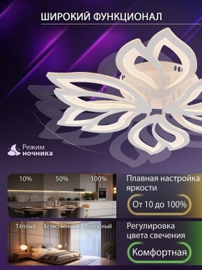 Потолочная люстра Natali Kovaltseva FORTUNA LED LAMPS 81107/6C в Красноуральске - krasnouralsk.ok-mebel.com | фото 6