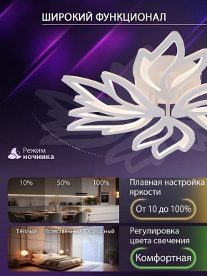 Потолочная люстра Natali Kovaltseva RIF LED LAMPS 81118/5C в Красноуральске - krasnouralsk.ok-mebel.com | фото 6