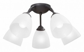 Потолочная люстра Vitaluce V3184 V3737-2/5PL в Красноуральске - krasnouralsk.ok-mebel.com | фото