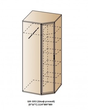 ШК-1011 (Шкаф угловой) в Красноуральске - krasnouralsk.ok-mebel.com | фото