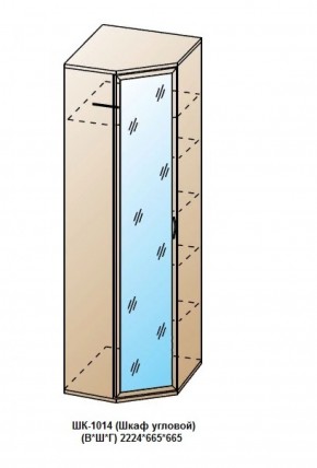 ШК-1014 (Шкаф угловой) в Красноуральске - krasnouralsk.ok-mebel.com | фото