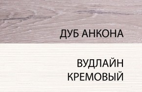 Шкаф 1DZ, OLIVIA, цвет вудлайн крем/дуб анкона в Красноуральске - krasnouralsk.ok-mebel.com | фото 3