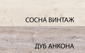 Шкаф 2D1S, MONAKO, цвет Сосна винтаж/дуб анкона в Красноуральске - krasnouralsk.ok-mebel.com | фото
