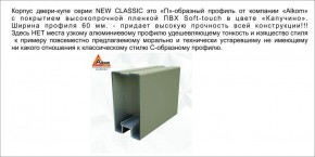 Шкаф-купе 1500 серии NEW CLASSIC K3+K3+B2+PL1 (2 ящика+1 штанга) профиль «Капучино» в Красноуральске - krasnouralsk.ok-mebel.com | фото 5