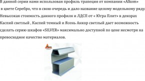 Шкаф-купе 1500 серии SILVER S1+S1+B2+PL2 (2 ящика+1 штанга+1 полка) профиль «Серебро» в Красноуральске - krasnouralsk.ok-mebel.com | фото 4