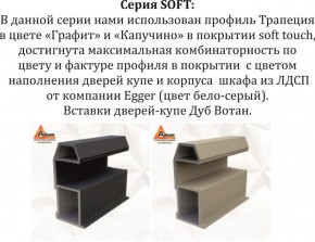 Шкаф-купе 1800 серии SOFT D1+D3+B2+PL1 (2 ящика+1штанга) профиль «Графит» в Красноуральске - krasnouralsk.ok-mebel.com | фото 11