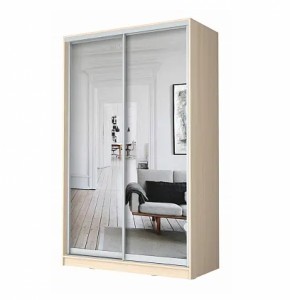 Шкаф-купе ХИТ 22-4-12/2-55 (420) в Красноуральске - krasnouralsk.ok-mebel.com | фото 7