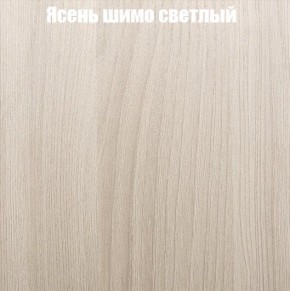 Шкаф-купе «ТАНДЕМ» 2-х дверный в алюминиевом профиле (Дверь К+К) 1200/h2200 в Красноуральске - krasnouralsk.ok-mebel.com | фото 6