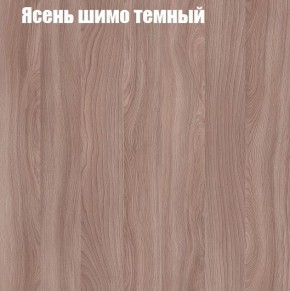 Шкаф-купе «ТАНДЕМ» 2-х дверный в алюминиевом профиле (Дверь К+К) 1200/h2200 в Красноуральске - krasnouralsk.ok-mebel.com | фото 7