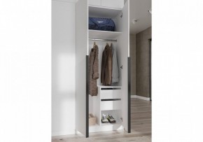 Шкаф платяной Широн в Красноуральске - krasnouralsk.ok-mebel.com | фото 3