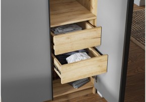 Шкаф платяной Широн в Красноуральске - krasnouralsk.ok-mebel.com | фото 3