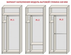 Шкаф распашной серия «ЗЕВС» (PL3/С1/PL2) Серый камень/Небраска натуральный в Красноуральске - krasnouralsk.ok-mebel.com | фото 5