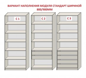 Шкаф распашной серия «ЗЕВС» (PL3/С1/PL2) Серый камень/Небраска натуральный в Красноуральске - krasnouralsk.ok-mebel.com | фото 6