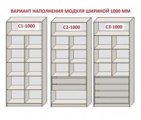 Шкаф распашной серия «ЗЕВС» (PL3/С1/PL2) Серый камень/Небраска натуральный в Красноуральске - krasnouralsk.ok-mebel.com | фото 7