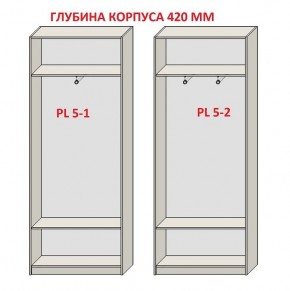 Шкаф распашной серия «ЗЕВС» (PL3/С1/PL2) Серый камень/Небраска натуральный в Красноуральске - krasnouralsk.ok-mebel.com | фото 8