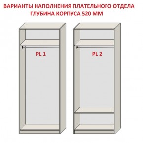 Шкаф распашной серия «ЗЕВС» (PL3/С1/PL2) Серый камень/Небраска натуральный в Красноуральске - krasnouralsk.ok-mebel.com | фото 9
