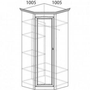 Шкаф угловой №662 "Флоренция" Фасад глухой (угол 1005*1005) Дуб оксфорд в Красноуральске - krasnouralsk.ok-mebel.com | фото 3