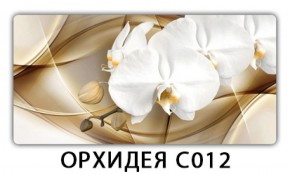 Стол раздвижной Трилогия с фотопечатью Доска D112 в Красноуральске - krasnouralsk.ok-mebel.com | фото 16