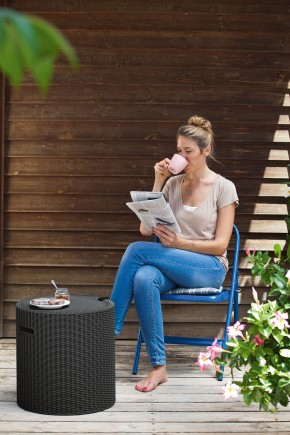 Столик-холодильник Кул-Стул (Cool stool) графит в Красноуральске - krasnouralsk.ok-mebel.com | фото