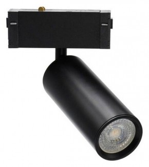 Светильник на штанге Aployt Magnetic track 220 APL.0209.00.01 в Красноуральске - krasnouralsk.ok-mebel.com | фото