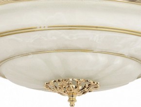 Светильник на штанге Arti Lampadari Pavia Pavia E 1.13.P40 G в Красноуральске - krasnouralsk.ok-mebel.com | фото 3