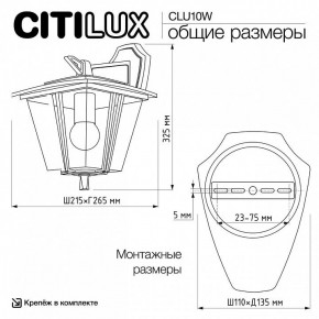 Светильник на штанге Citilux FORTS CLU10W в Красноуральске - krasnouralsk.ok-mebel.com | фото 9