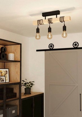 Светильник на штанге Eglo TOWNSHEND 43511 в Красноуральске - krasnouralsk.ok-mebel.com | фото 2