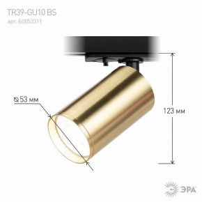 Светильник на штанге Эра  TR39-GU10 BS в Красноуральске - krasnouralsk.ok-mebel.com | фото 6