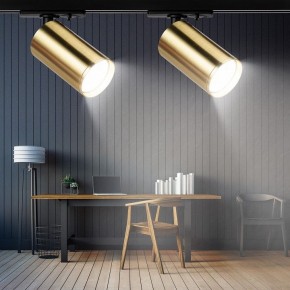 Светильник на штанге Эра  TR39-GU10 BS в Красноуральске - krasnouralsk.ok-mebel.com | фото 7