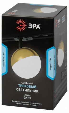 Светильник на штанге Эра  TR42-GX53 BS в Красноуральске - krasnouralsk.ok-mebel.com | фото 6