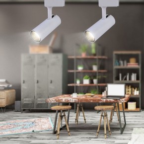 Светильник на штанге Эра  TR5-20 COB WH в Красноуральске - krasnouralsk.ok-mebel.com | фото 4