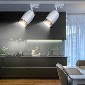 Светильник на штанге Эра  TR51 - GU10 WH в Красноуральске - krasnouralsk.ok-mebel.com | фото 3