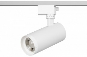 Светильник на штанге Эра  TR59 - 2040 WH в Красноуральске - krasnouralsk.ok-mebel.com | фото 2