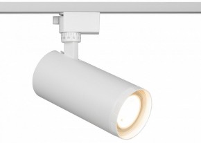 Светильник на штанге Эра  TR59 - 3030 WH в Красноуральске - krasnouralsk.ok-mebel.com | фото