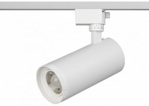 Светильник на штанге Эра  TR59 - 3030 WH в Красноуральске - krasnouralsk.ok-mebel.com | фото 2