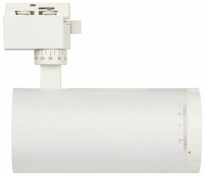 Светильник на штанге Эра  TR59 - 3030 WH в Красноуральске - krasnouralsk.ok-mebel.com | фото 4