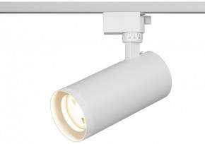 Светильник на штанге Эра  TR59 - 3030 WH в Красноуральске - krasnouralsk.ok-mebel.com | фото 5