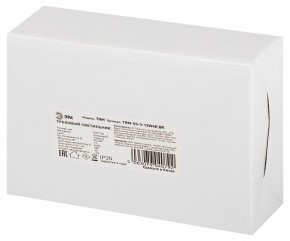 Светильник на штанге Эра  TRM-S5-3-12W4K-BK в Красноуральске - krasnouralsk.ok-mebel.com | фото 8