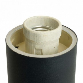 Светильник на штанге Feron DH041-B  RAL color 9005 51522 в Красноуральске - krasnouralsk.ok-mebel.com | фото 8