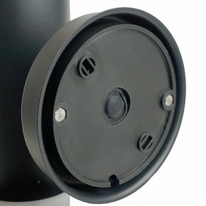 Светильник на штанге Feron DH041-B  RAL color 9005 51522 в Красноуральске - krasnouralsk.ok-mebel.com | фото 9