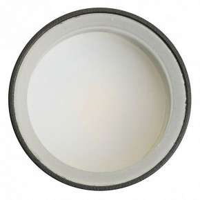 Светильник на штанге Feron ML1001 51371 в Красноуральске - krasnouralsk.ok-mebel.com | фото 4