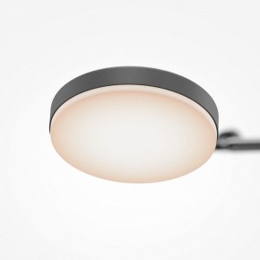Светильник на штанге Maytoni Fad MOD070CL-L15B3K1 в Красноуральске - krasnouralsk.ok-mebel.com | фото 7