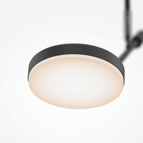 Светильник на штанге Maytoni Fad MOD070CL-L8B3K в Красноуральске - krasnouralsk.ok-mebel.com | фото 4