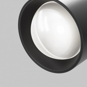 Светильник на штанге Maytoni Lens TR217-4-15WTW-DD-B в Красноуральске - krasnouralsk.ok-mebel.com | фото 12