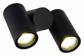 Светильник на штанге ST-Luce Ecollo SL9011.402.02 в Красноуральске - krasnouralsk.ok-mebel.com | фото 3