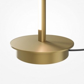 Торшер Maytoni Thin MOD395FL-L28BS3K в Красноуральске - krasnouralsk.ok-mebel.com | фото 7