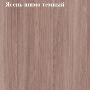 Вешалка для одежды (Ясень шимо темный) в Красноуральске - krasnouralsk.ok-mebel.com | фото 2