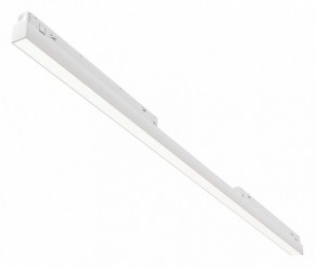 Встраиваемый светильник Maytoni Basis TR030-4-30WTW-DD2-W в Красноуральске - krasnouralsk.ok-mebel.com | фото